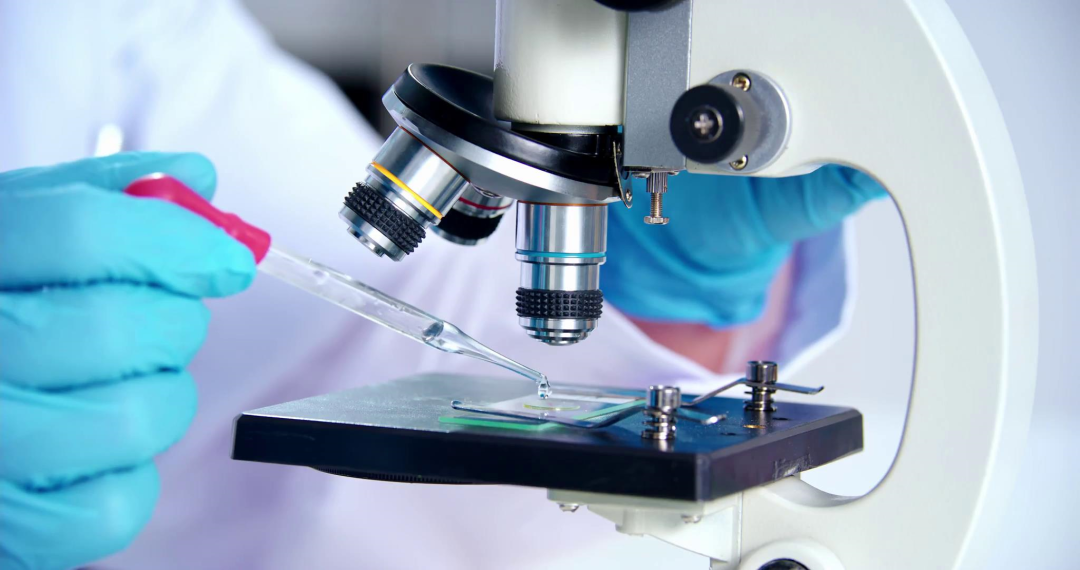 yl6809永利(集团)有限公司官网